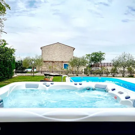 Griota Umag